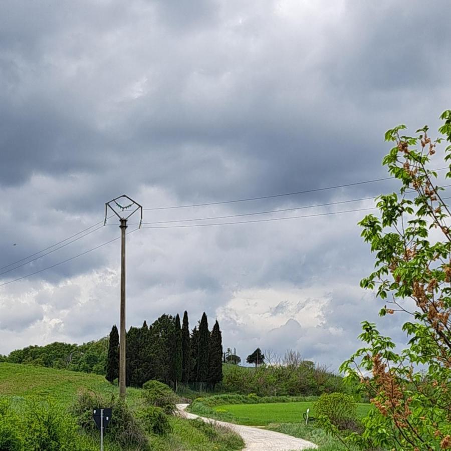 Affittacamere Alba Fiorita Castiglione dʼOrcia Exteriör bild